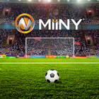 Miiny Forza Football ícone