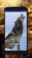 Wolf Sounds - Gray wolf Sounds Ekran Görüntüsü 2