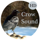 Crow Sounds 图标