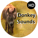 Donkey Sounds APK