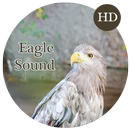 Eagle Sounds and Ringtone APK