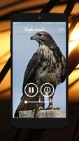 Eagle Sounds and Ringtone capture d'écran 3