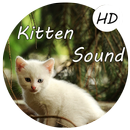 Kitten Sounds – Cat Meow Sound APK