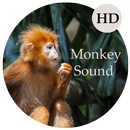 Monkey Sounds – Monkey Scream, Gorilla Sound APK