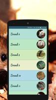 Mouse and Rat Sounds স্ক্রিনশট 1