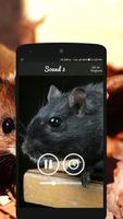 Mouse and Rat Sounds screenshot 3