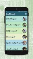 Quail Sounds Plakat