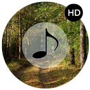 Forest Sounds - Forest Music APK