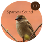 Sparrow Sounds آئیکن