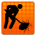 CityBugs