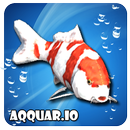 Aqquar.io - MMO APK