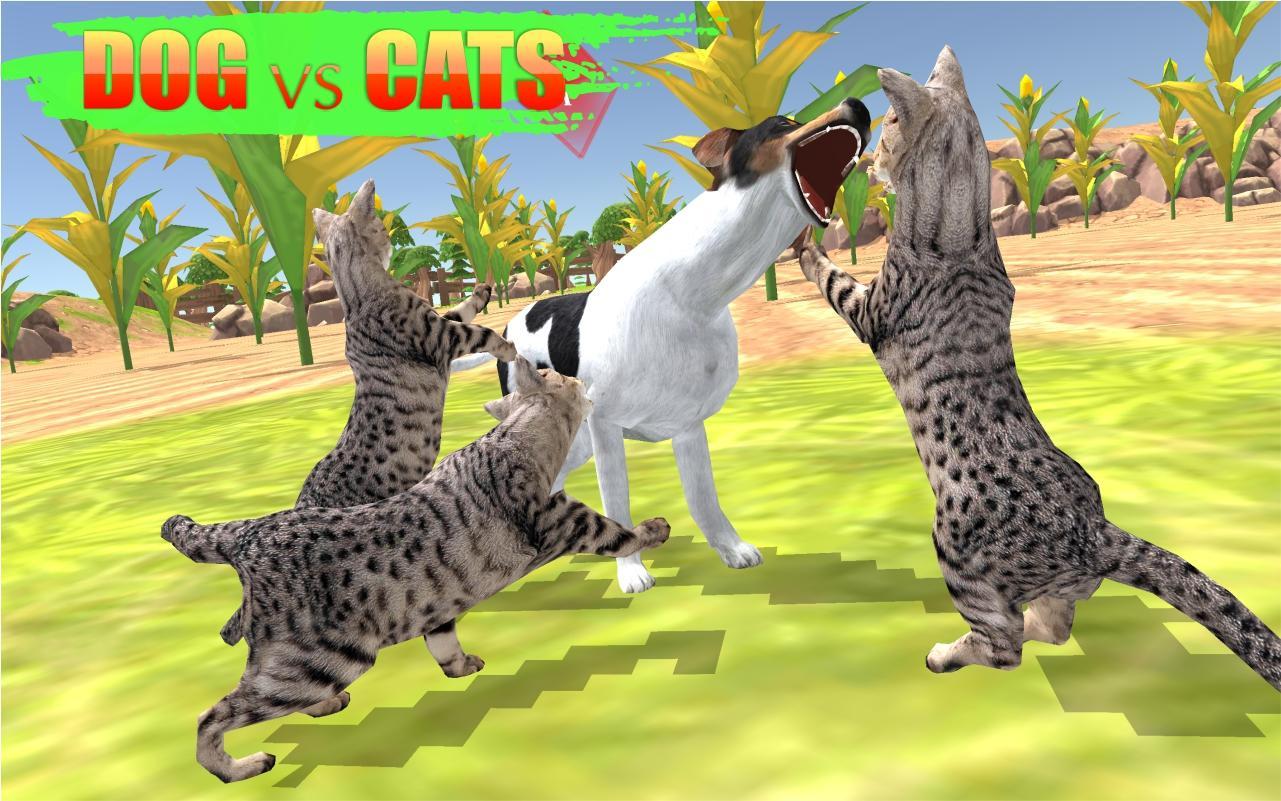 Игры животные кошки