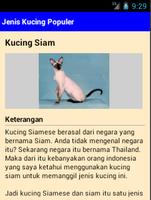 برنامه‌نما Jenis Kucing Populer عکس از صفحه