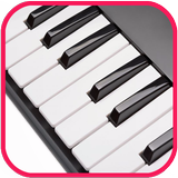 Mini Organ Piano ไอคอน