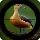 Jagen Extreme Jungle Birds-APK