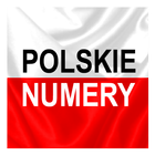 Polskie numery icône