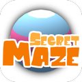 Secret Maze