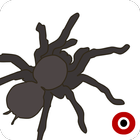 Spiderama icon