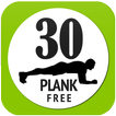 The Planks Workout Exercise