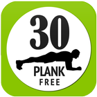The Planks Workout Exercise icône
