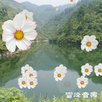 200 classic Cantonese Songs free music APK