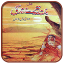 Bin tere Zindgi Novel APK