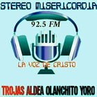 Stereo Misericordia ikon