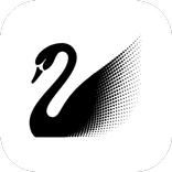 Swarovski Activity Crystal