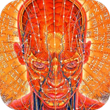 Мысли вслух