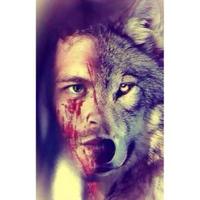 6500+ Wolf Wallpapers - HD Backgrounds Affiche