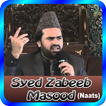 Syed Zabeeb Masood Naats