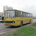 Wallpapers IKARUS Bus icon