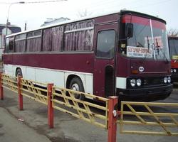 Fond d'écran IKARUS Bus capture d'écran 3