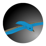 BirdeeFlight 3D [Beta]