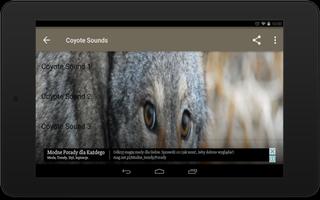 Coyote Sounds Screenshot 3