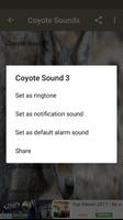 Coyote Sounds Screenshot 2