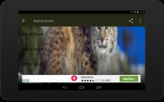 Bobcat Sounds capture d'écran 3