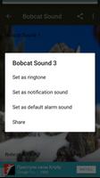 Bobcat Sounds capture d'écran 2