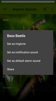Insects Sounds Screenshot 2
