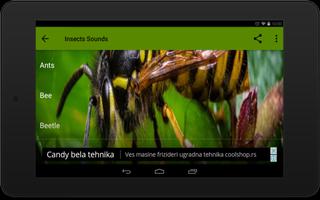 Insects Sounds Screenshot 3