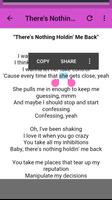 Shawn Mendes Lyrics capture d'écran 2