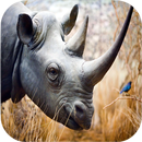 Rhino sounds APK