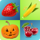 Fruits And Vegetables Quiz ikon