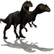 Allosaurus Dinosaur Widget