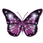 Butterfly Widget/Stickers-icoon