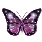 Butterfly Widget/Stickers 图标