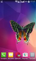 Butterfly Widget/Stickers الملصق