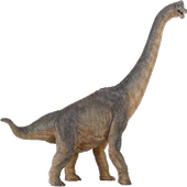 Apatosaurus Brontosaur Widget icon