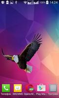 Eagle Widget/Stickers captura de pantalla 3