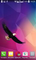 Eagle Widget/Stickers स्क्रीनशॉट 2